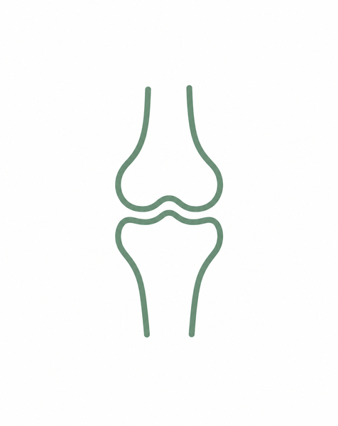 Bone & Joint