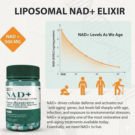 NAD+ Liposomal 500 mg – 60 Capsules