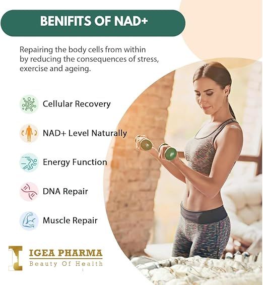 NAD+ Liposomal 500 mg – 60 Capsules